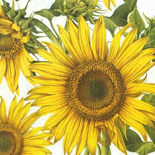 Sunflower Cocktail Napkins