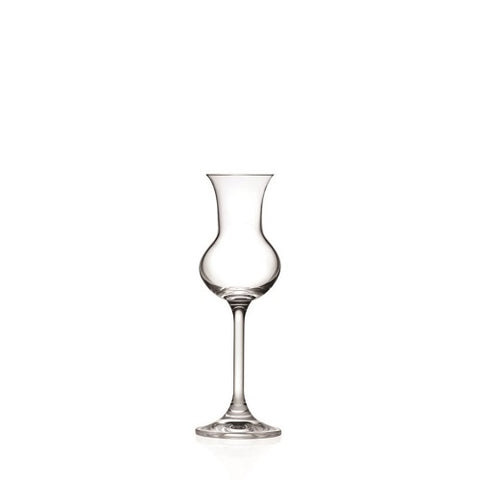 Invino Grappa Glass - Set of 6