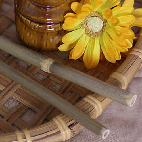 Natural Bamboo Straws, Pack of 10