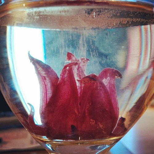 Wild Hibiscus Flowers in Syrup, 50 Flower Jar